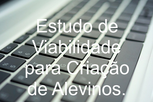 Estudo de Viabilidade para Criação de Alevinos.