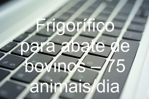 Frigorífico para abate de bovinos – 75 animais/dia