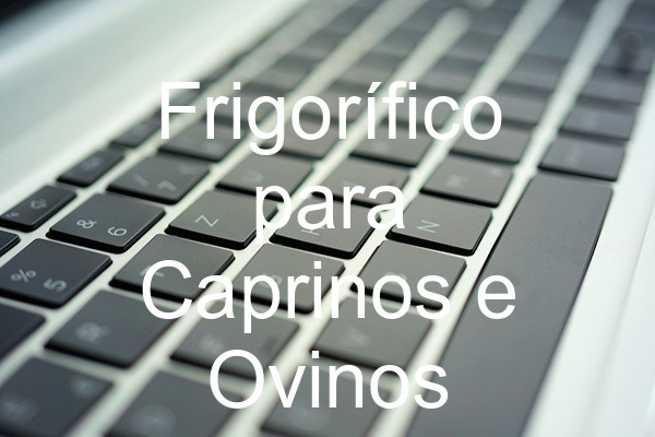 Frigorífico para Caprinos e Ovinos