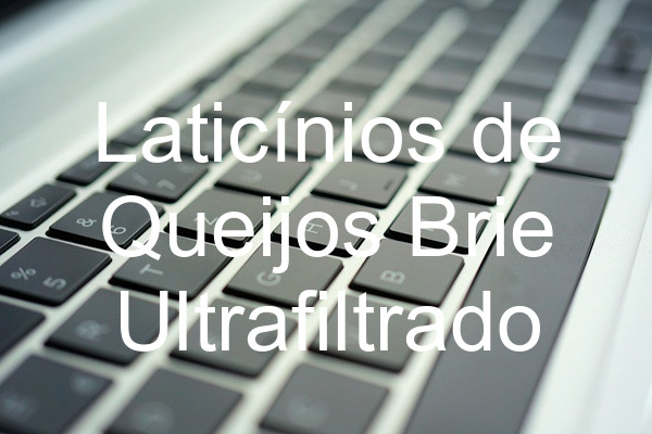 Laticínios de Queijos Brie Ultrafiltrado