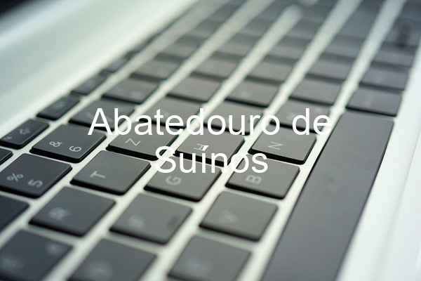 Abatedouro de Suínos