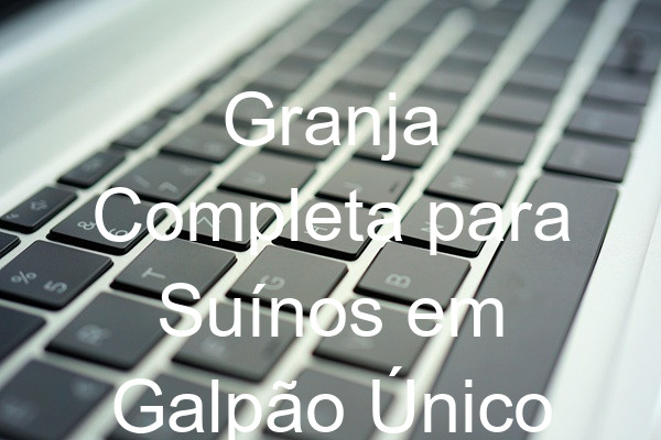 Granja Completa para Suínos em Galpão Único