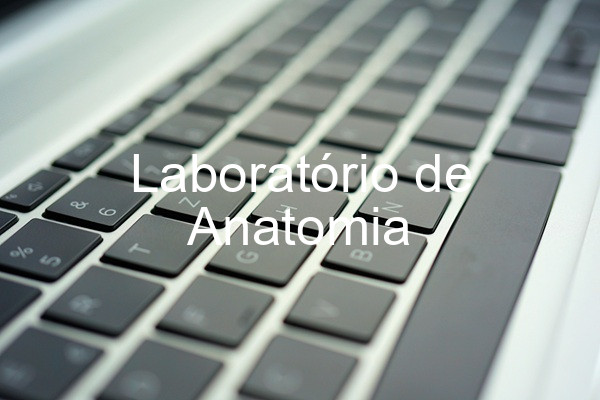 Laboratório de Anatomia