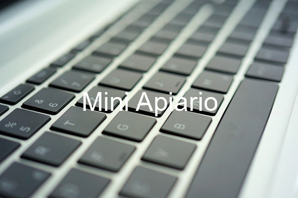 Mini Apiário