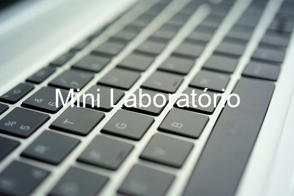 Mini Laboratório